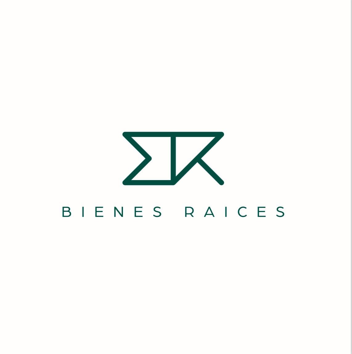 BR Bienes Raíces